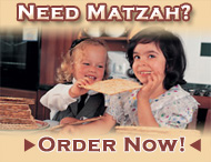 Matzah Sale Banner (190 px)